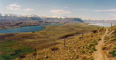 loop track around the observatory