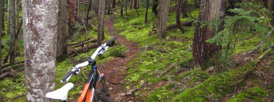 Gargamel and Whistler Bike Park