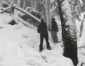 Grouse Grind in the Snow